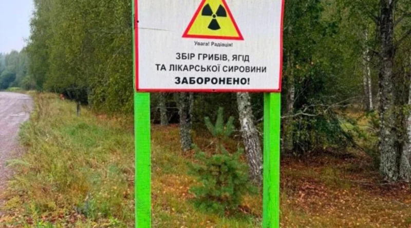 Українські Національні Новини (УНН)