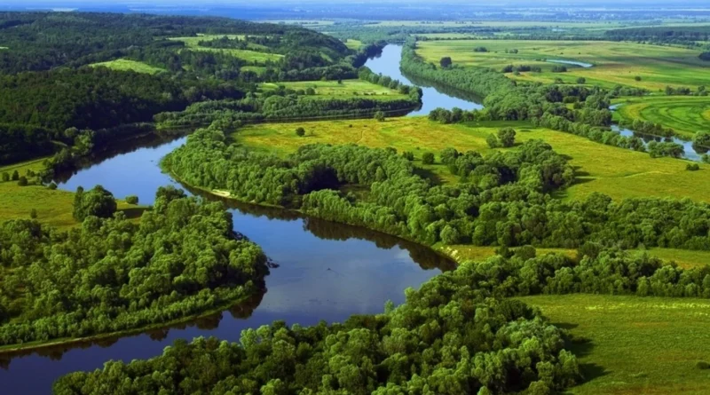 Українські Національні Новини (УНН)