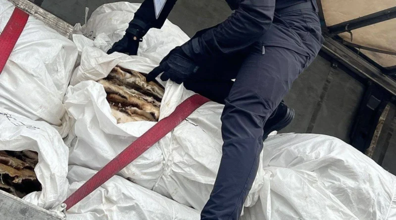 Українські Національні Новини (УНН)