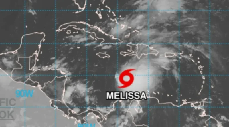 Українські Національні Новини (УНН)