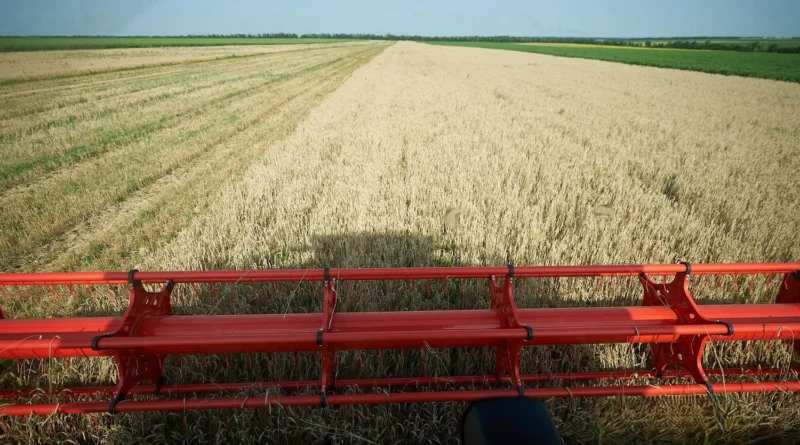 Українські Національні Новини (УНН)