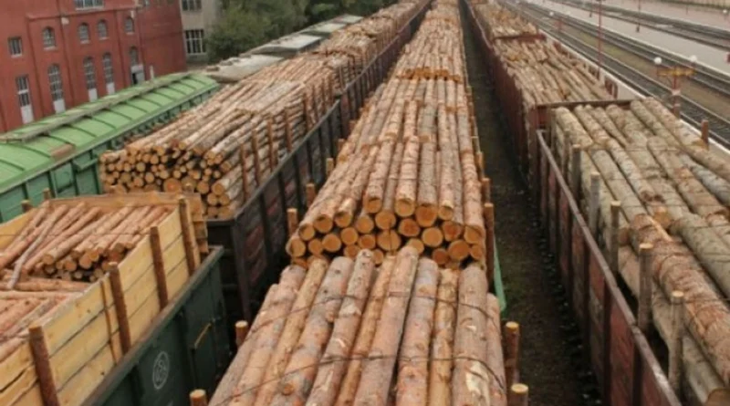 В Україні тимчасово заборонили експорт необробленої деревини