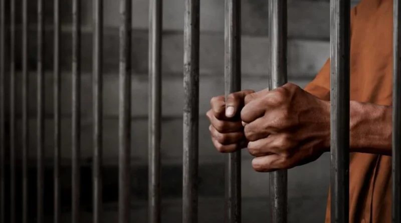 Українські Національні Новини (УНН)