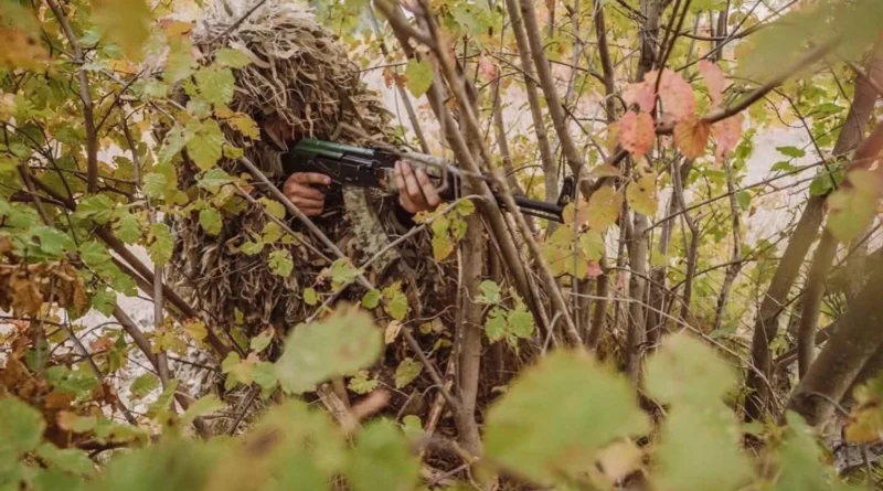 Українські Національні Новини (УНН)