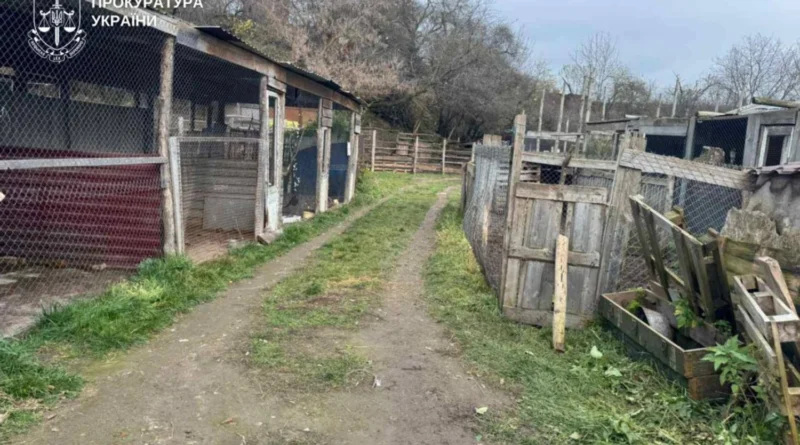 З вольєру приватного центру у Хмельницькому втекло дві левиці: прокуратура розпочала кримінальне провадження