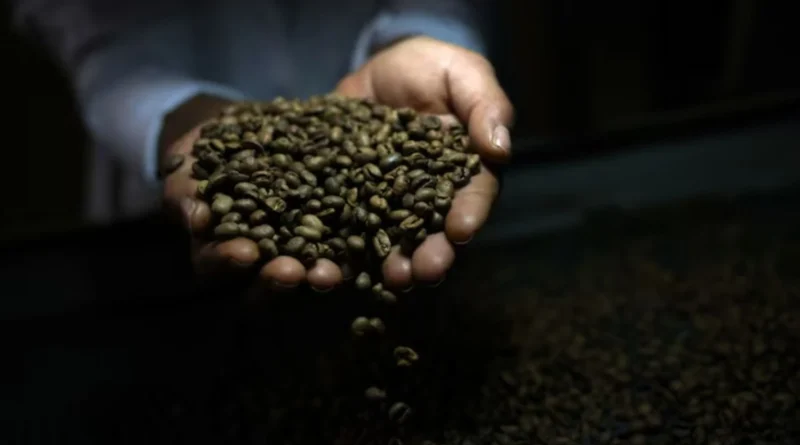 Українські Національні Новини (УНН)