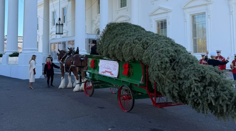 У Білий дім прибула різдвяна ялинка. Її зустріла Меланія Трамп