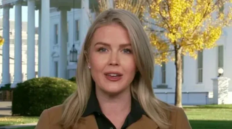 Київ та Вашингтон мають кілька розбіжностей щодо плану завершення війни - Білий дім