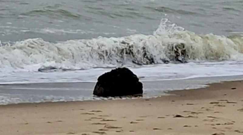 Шторм виніс морську міну на узбережжя Одещини