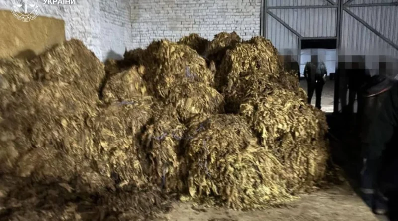Вирощували, переробляли, збували: ліквідовано підпільне виробництво тютюну на понад 25 млн грн у трьох областях