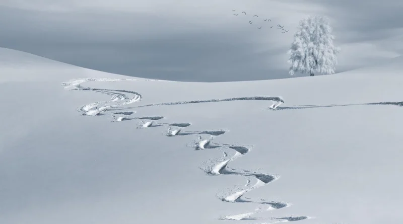 Сніг повертається, але лижний сезон запізнився: якою буде погода в Карпатах на свята і чи зміняться ціни на житло