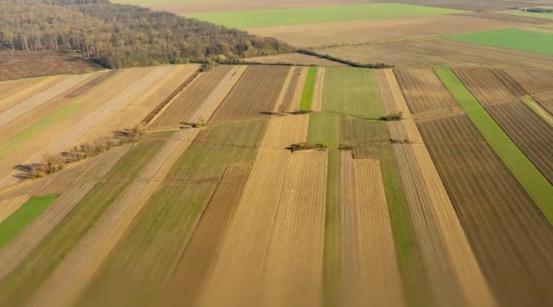 Українські Національні Новини (УНН)