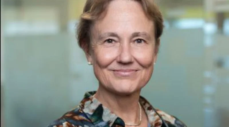 Українські Національні Новини (УНН)