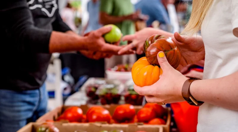 Українські Національні Новини (УНН)