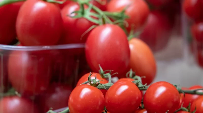 Тепличні помідори подорожчали: причини і що з цінами буде далі