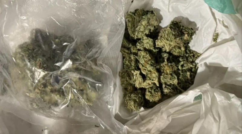 Українські Національні Новини (УНН)