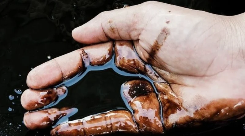 Ціни на нафту падають на тлі розрядки напруженості на Близькому Сході між США та Іраном