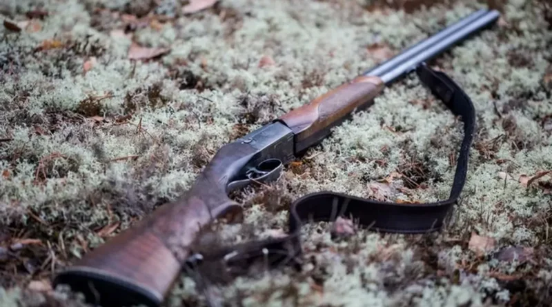 Старосту села на Миколаївщині затримали за стрілянину у помічницю, жінка загинула - поліція