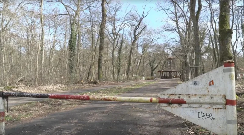 У лісі в Німеччині знайшли тіло 19-річної українки - ЗМІ