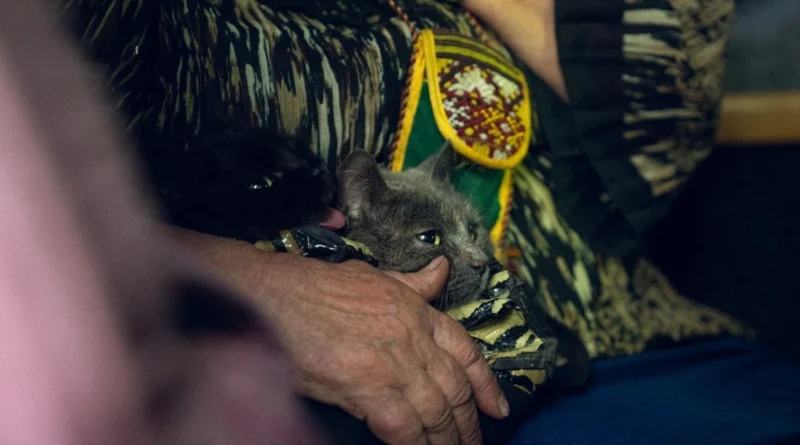 Пункти евакуації ВПО отримають компенсацію за комуналку - рішення уряду