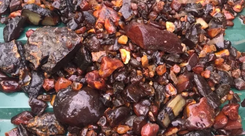 На Рівненщині викрили