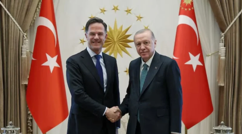 Ердоган заявив генсеку НАТО про зусилля Туреччини відновити переговори між Україною та росією