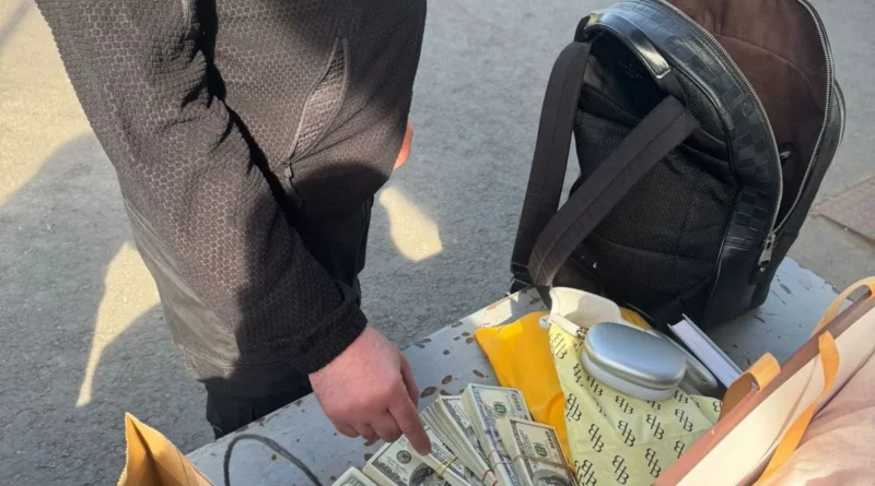 У речах жительки Закарпаття, яка прямувала до Словаччини, службовий пес митників винюхав 4 млн грн готівки