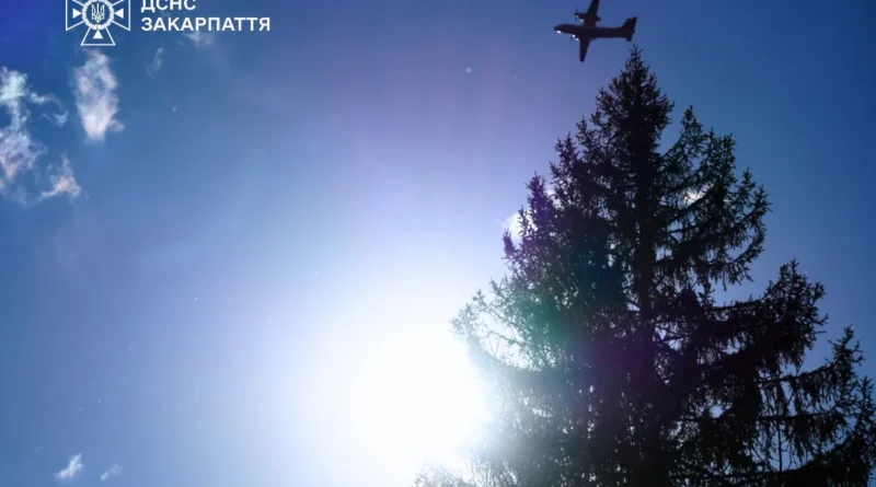 На Закарпатті ліквідували масштабну лісову пожежу