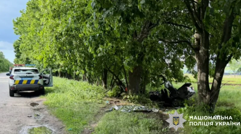 Українські Національні Новини (УНН)